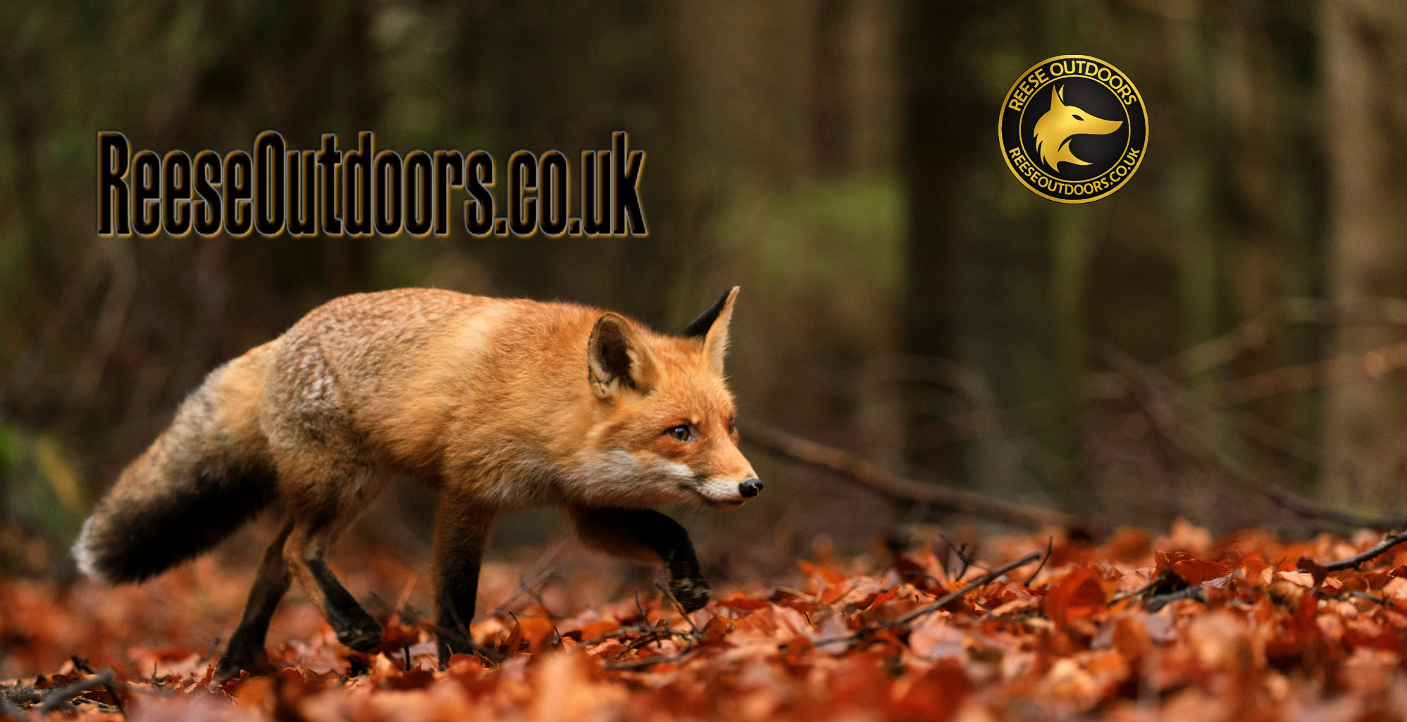 front fox