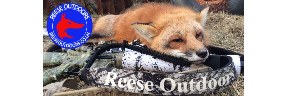 Store frnt fox