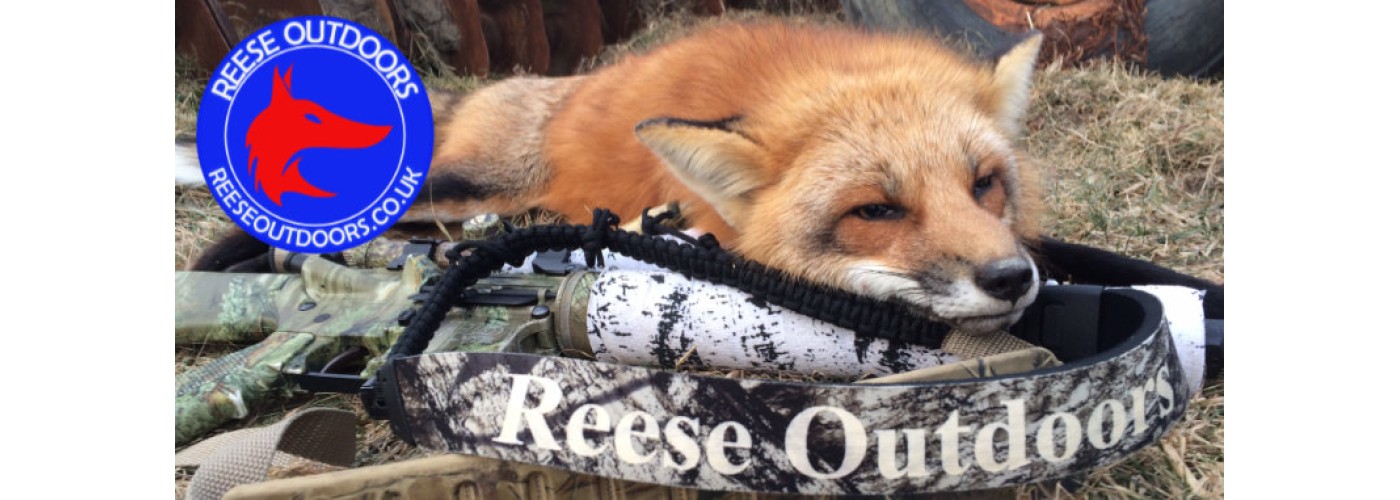 Store frnt fox